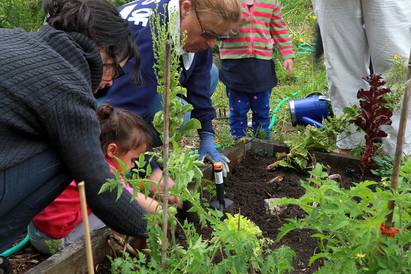 The image captures a heartwarming scene of community gardening. A woman and a young girl are crouched down, tending to plants in a raised garden bed. The woman is wearing a cozy gray sweater and the little girl has on a bright pink top. Behind them, another woman in a blue sweatshirt is carefully planting or weeding, with focused attention to the task. A toddler in a striped top stands nearby, observing the activity. The scene is set in an outdoor space with lush greenery, suggesting a communal or educational garden. A sense of learning and collaboration permeates the image, with the adults possibly teaching the younger ones about gardening and the importance of caring for the environment.
