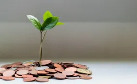 A plant growing out of a small pile of coins